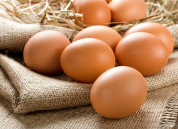 Производитель яиц Овостар инвестирует €85 млн. в латвийский завод